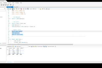 do sql queries, data analysis and database tasks