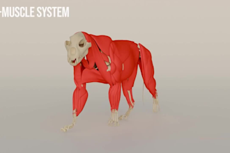create realistic 3d animal animation, cgi creatures, fur, and character models