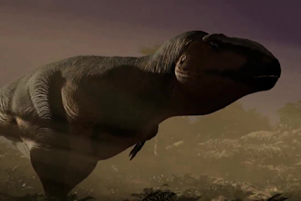 do 3d animal model, 3d creature, 3d animal animation xgen hair, fur cgi vfx