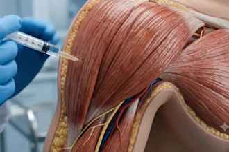 create professional ai medical and healthcare explainer videos