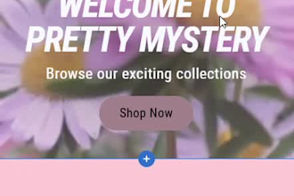 develop responsive shopify stores