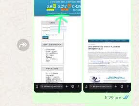 help you with academic writing, publications, data analysis