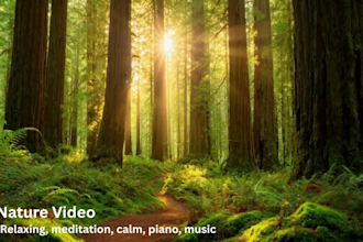 create meditation nature video relaxation sleep video meditation music sound