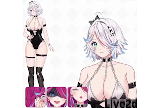 custom live2d vtuber model live2d vtuber commission anime live2d vtuber rigging