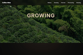 build a responsive landing page