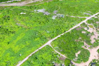 high precision photogrammetry 3d models and orthomosaics