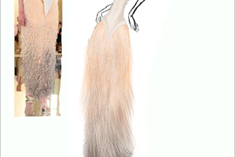 draw fashion illustrations and digital sketches