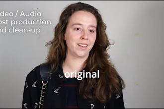 clean and restore your audio professionally