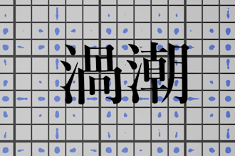 provide natural and professional english to japanese translation