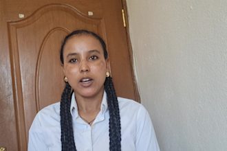 provide professional english to amharic and tigrinya translation