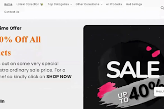 create a professional shopify storefront with custom design