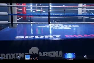 design 3d boxing arena, stadium, MMA arena, led screens and ribbon boards