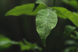 edit cinematic short promos and social media videos