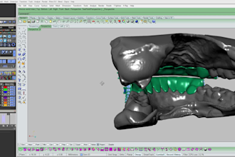 do any custom grillz and tooth cad jewerly design