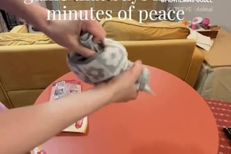 create dog ugc videos with my mini poodle puppy