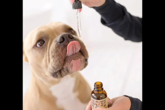 create ai ugc video ads for pet wellness ,medical health supplement brands