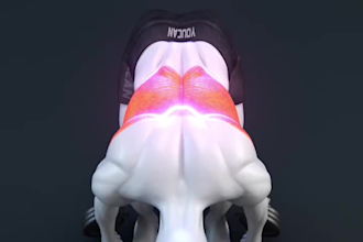 create 3d workout animation 3d physical fitness training video anatomy animation