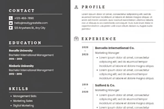 design  professional ats resume or CV for job application