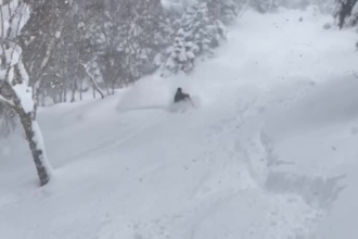 provide detailed feedback and lesson plans to improve your skiing