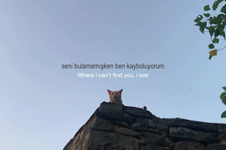 edit cinematic and aesthetic instagram reels and videos