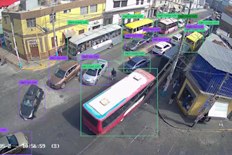 do professional image annotation and yolo model training