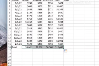 do data cleaning excel data entry and formatting