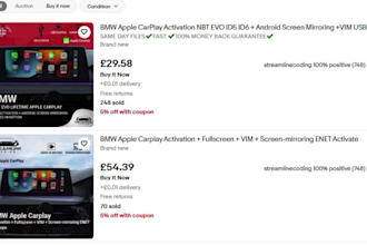 do manual SEO optimized ebay product listings