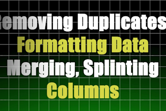 clean, format, merge, split excel data