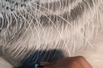 a realistic animal or pet potrait in pencil or charcoal