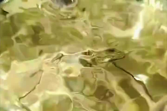 formulate perfume, fragrance oil blend, cologne and unique natural scent