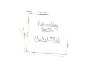 edit wedding films, teaser trailers and social media reels