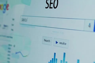 do a complete SEO website audit and report