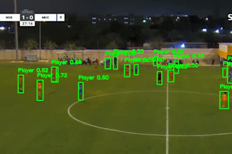 develop a custom object detection deep learning model using yolov8