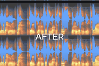 do surgical audio restoration, noise reduction, dialogue cleanup