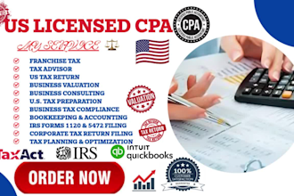 file your delaware c corp tax return, franchise tax and annual report as cpa