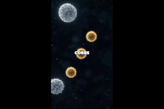 edit engaging short form videos