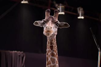 realistic animal animation, cgi animal animation, 3d animal model for film game