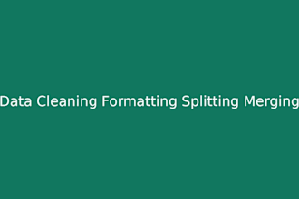 clean, format, merge, split excel data, tally, video editing, sql