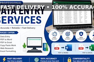 accurate data entry, excel data entry and PDF conversion