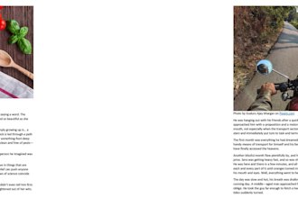 write creative fiction for full websites, projects, plus free consultation