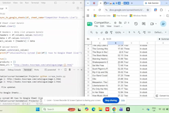 build custom python web scraper and sync data to google sheets