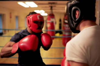 do customize boxing MMA gloves