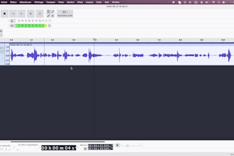 professionally edit your podcast, voice over or youtube audio