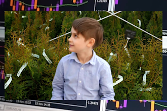 teach you how to trade forex, stocks or crypto