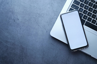 convert PDF to excel with accurate data cleaning and formatting