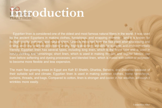 create company profiles and brand storytelling deck