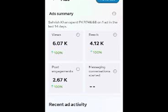 manage meta ads for local brands