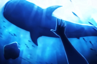 create beautiful anime music videos