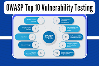 perform owasp based penetration testing for your website