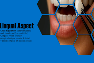 create dental and medical powerpoint presentations